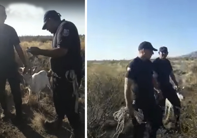 InfoSanLuis - Noticias locales