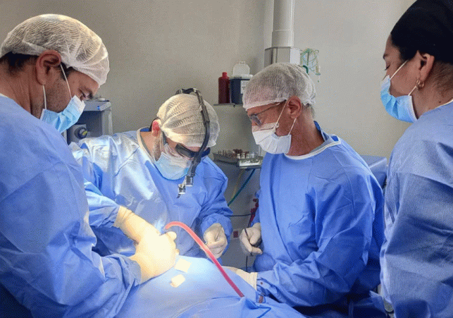 InfoSanLuis - Noticias locales