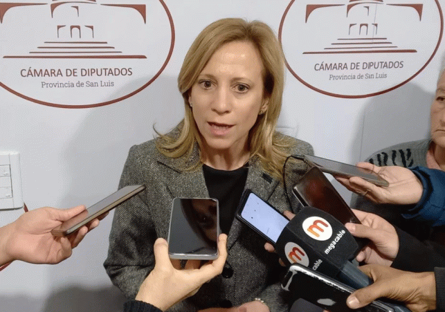 InfoSanLuis - Noticias locales