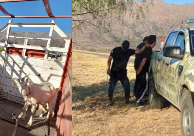 InfoSanLuis - Noticias locales