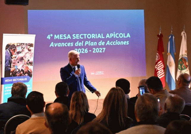 InfoSanLuis - Noticias locales