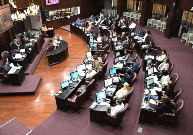 InfoSanLuis - Noticias locales