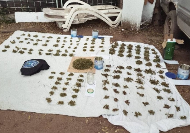 InfoSanLuis - Noticias locales