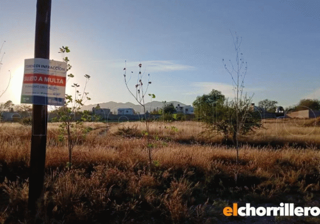InfoSanLuis - Noticias locales