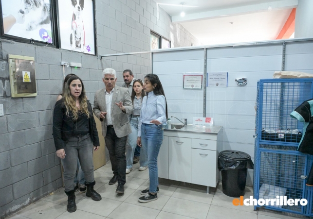 InfoSanLuis - Noticias locales