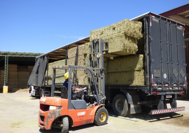 InfoSanLuis - Noticias locales