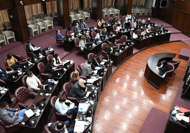 InfoSanLuis - Noticias locales
