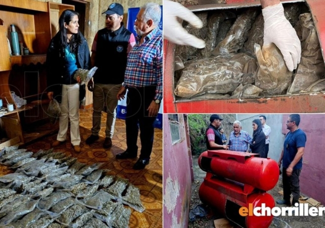 InfoSanLuis - Noticias locales