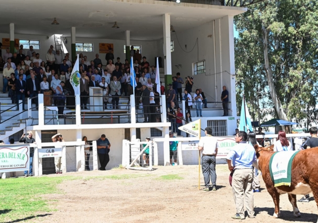 InfoSanLuis - Noticias locales