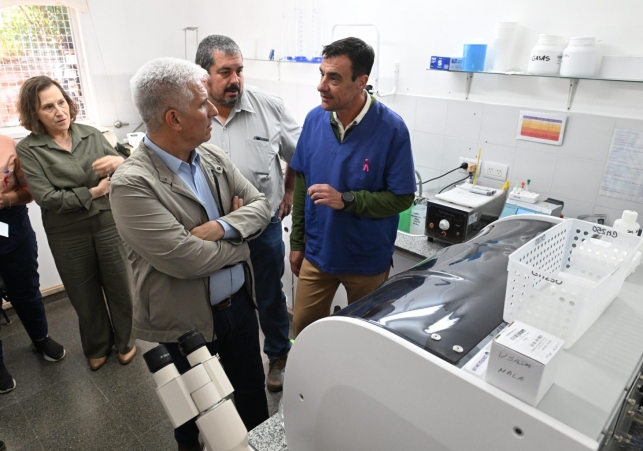 InfoSanLuis - Noticias locales