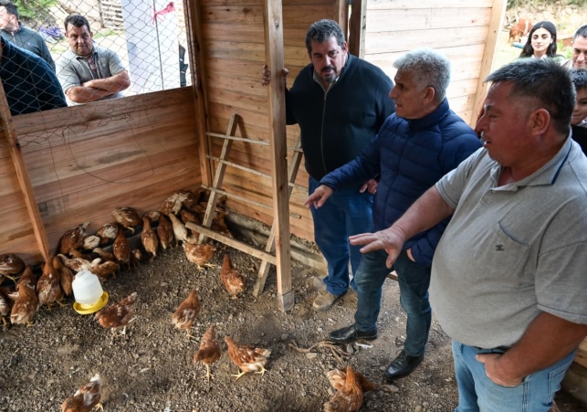 InfoSanLuis - Noticias locales