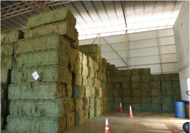 InfoSanLuis - Noticias locales