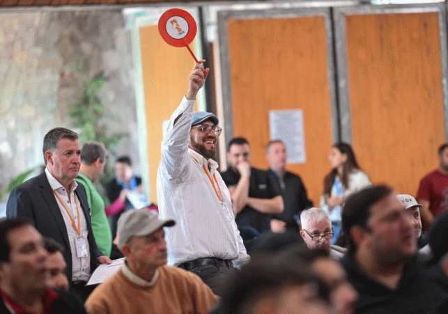 InfoSanLuis - Noticias locales