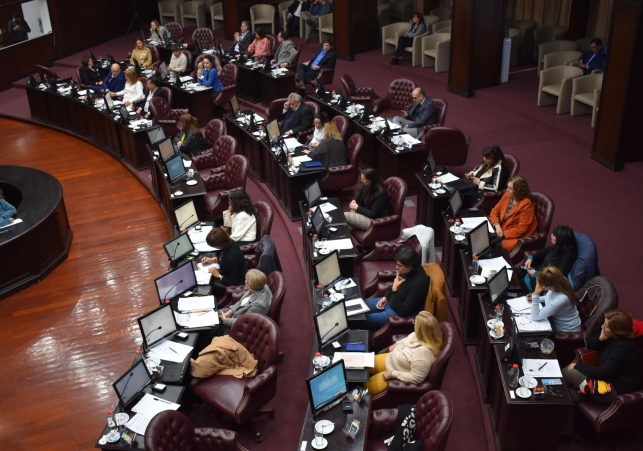 InfoSanLuis - Noticias locales